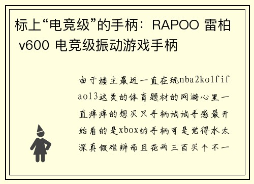 标上“电竞级”的手柄：RAPOO 雷柏 v600 电竞级振动游戏手柄